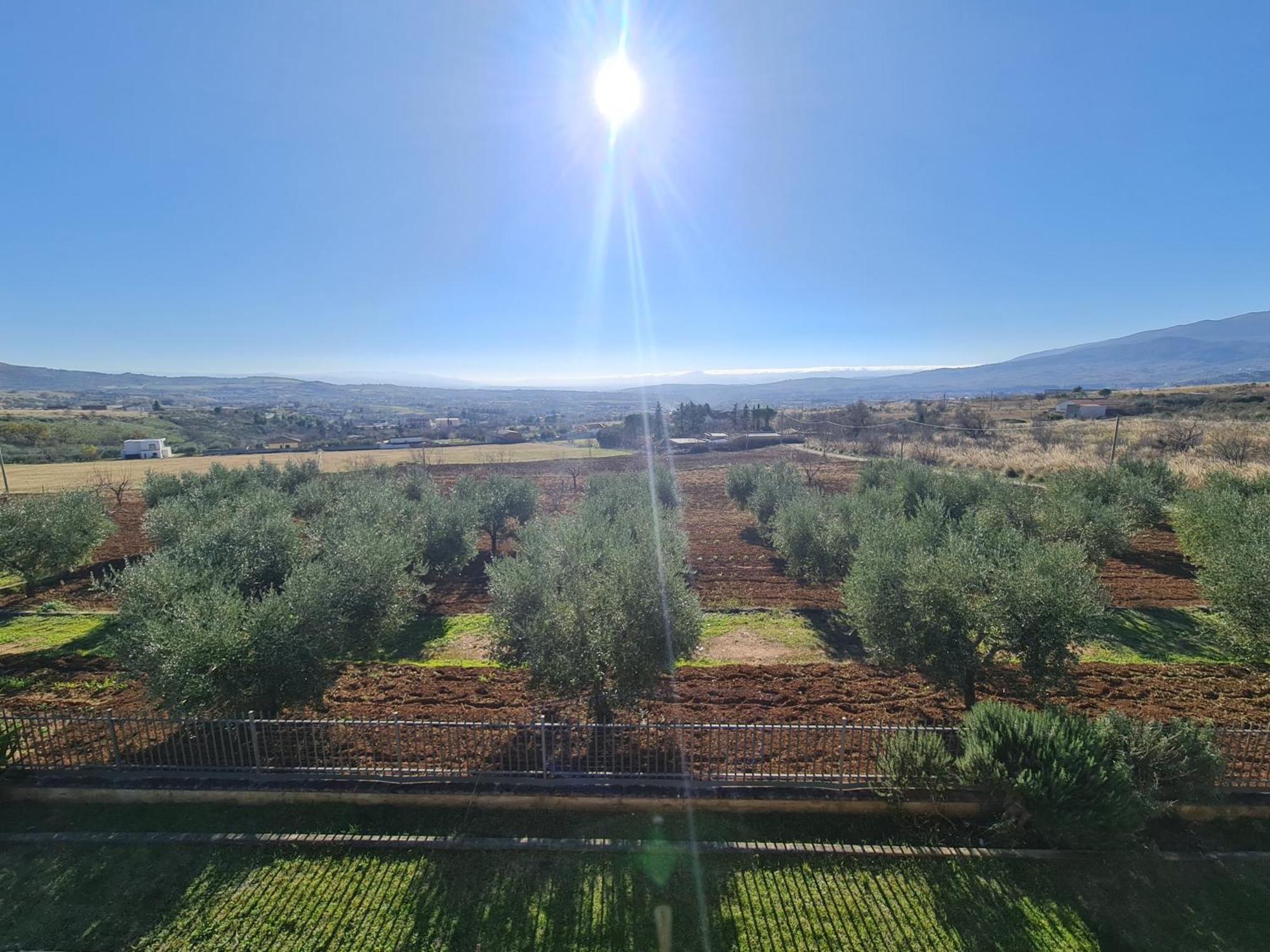 B&B La Petrosa Frascineto Екстериор снимка